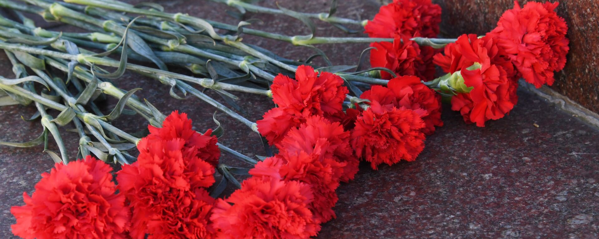 Акции памяти о погибших при нападении на колледж в Керчи - Sputnik Таджикистан, 1920, 28.09.2021