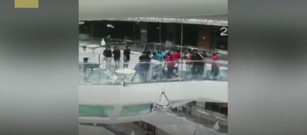 Женщина упала в бассейн с акулами - Sputnik Таджикистан