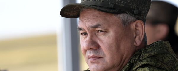 Министр обороны РФ, генерал армии Сергей Шойгу, архивное фото - Sputnik Таджикистан