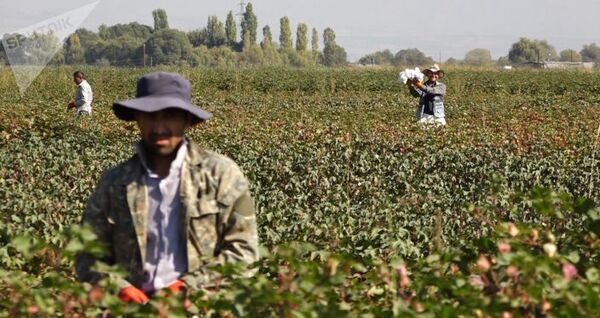 Ҳамоиши эътирозии тоҷикон дар пеши Ҳукумати Арманистон Ҳамоиши эътирозии тоҷикон дар пеши Ҳукумати Арманистон - Sputnik Тоҷикистон