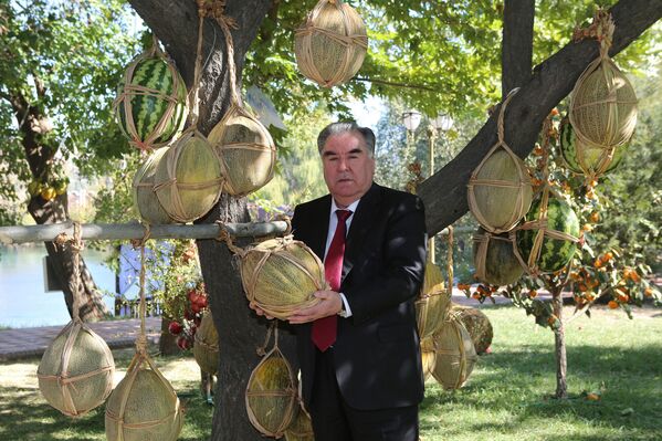 Эмомали Рахмон посетил фруктовые сады в районе Джаббор Расулов - Sputnik Таджикистан