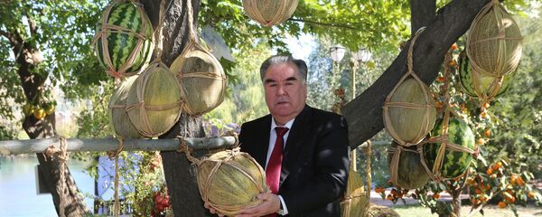 Эмомали Рахмон посетил фруктовые сады в районе Джаббор Расулов - Sputnik Тоҷикистон