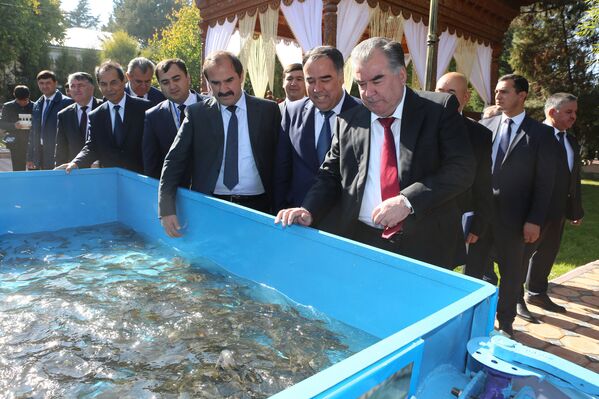 Эмомали Рахмон выпустил рыбу в озеро в Согдийской области - Sputnik Таджикистан