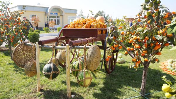 Достижения сельского хозяйства Согдийской области - Sputnik Таджикистан