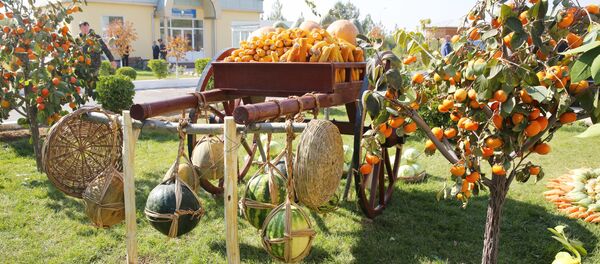Достижения сельского хозяйства Согдийской области Достижения сельского хозяйства Согдийской области - Sputnik Таджикистан