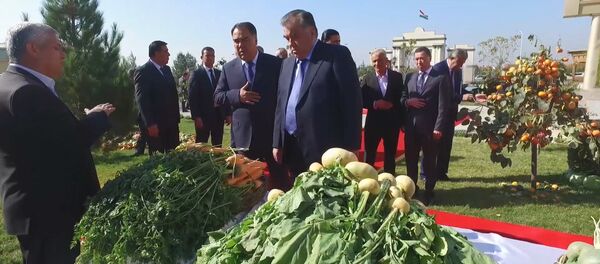 Реконструированный Национальный парк Вахдат - Sputnik Таджикистан