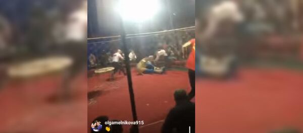 Львица напала в цирке на маленькую девочку - видео Львица напала в цирке на маленькую девочку - видео - Sputnik Таджикистан