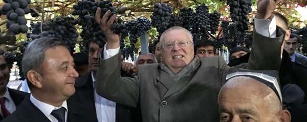 Владимир Жириновский посетил Гиссарскую крепость и город Турсунзаде Владимир Жириновский посетил Гиссарскую крепость и город Турсунзаде - Sputnik Тоҷикистон