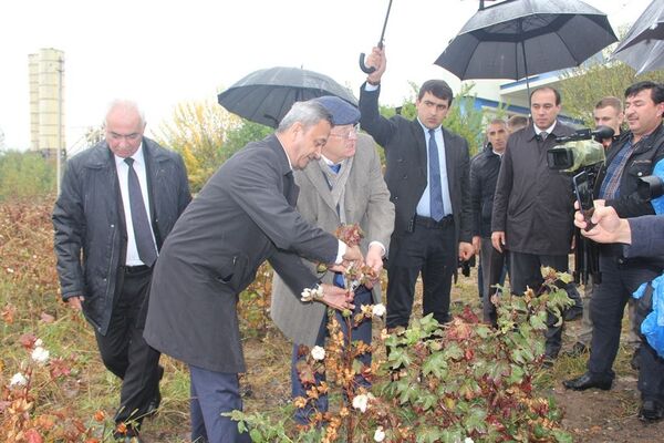 Аз ангур то пахтачинӣ: тафсилоти боздиди Жириновский аз Тоҷикистон  - Sputnik Тоҷикистон