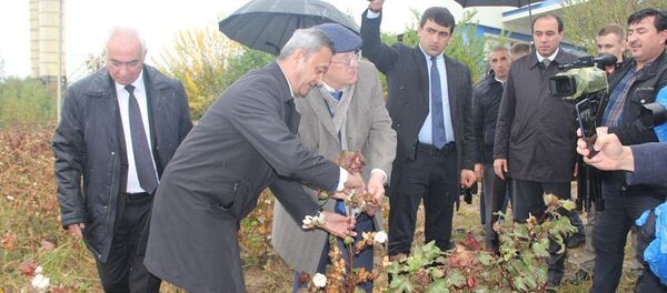 Владимир Жириновский прибывший в Таджикистан, собирает хлопок в Турсунзаде Владимир Жириновский прибывший в Таджикистан, собирает хлопок в Турсунзаде - Sputnik Таджикистан