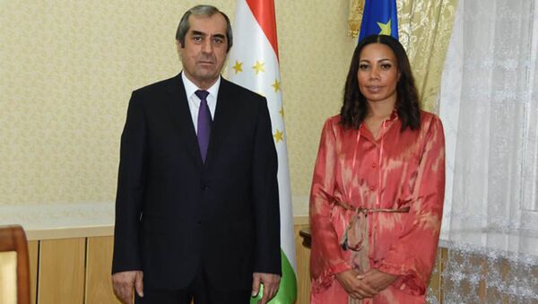 Махмадсаид Убайдуллоев с госпожой послом представительства ЕС Мэрилин Йосефсон  - Sputnik Таджикистан