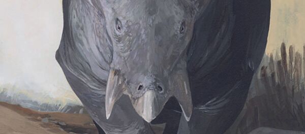 Так художник представил себе лисовицию - Sputnik Таджикистан