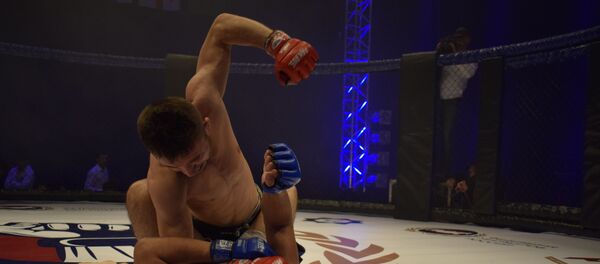 Турнир ФМР - Sputnik Таджикистан