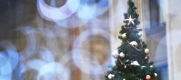 Елочные украшения на новогодней елке, архивное фото - Sputnik Таджикистан