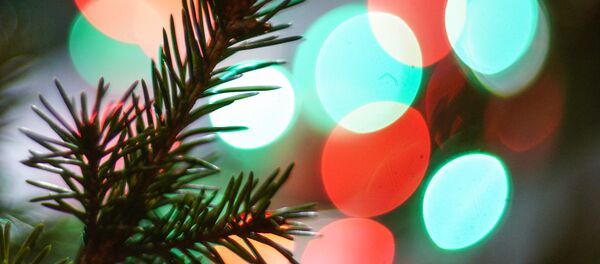 Веточка елки, архивное фото Веточка елки, архивное фото - Sputnik Таджикистан