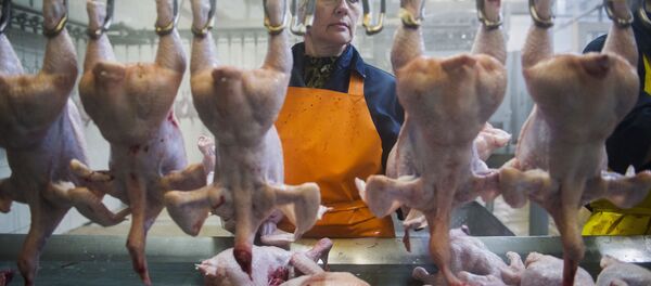 Разделочный цех тушек птицы, архивное фото Разделочный цех тушек птицы, архивное фото - Sputnik Таджикистан