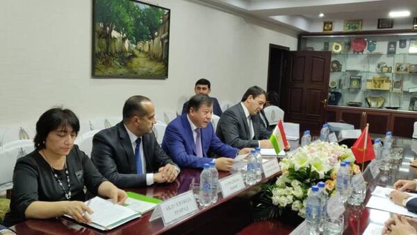 В Душанбе состоялась встреча министров внутренних дел Кыргызской Республики и Республики Таджикистан - Sputnik Таджикистан