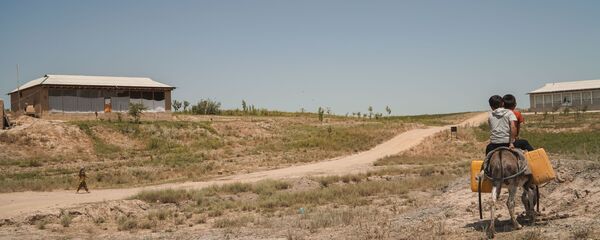 Мальчишки верхом на осле в Шахристанском районе Таджикистана, архивное фото - Sputnik Тоҷикистон