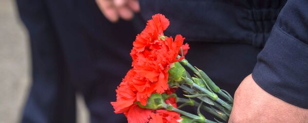 Букет гвоздик в руке, архивное фото Букет гвоздик в руке, архивное фото - Sputnik Таджикистан