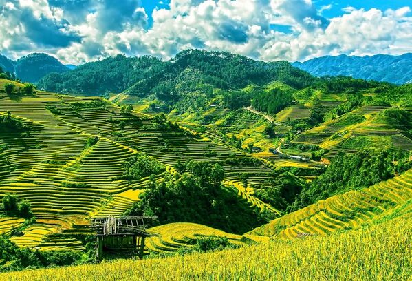 Рисовые террасы Му Чанг Чай на горных ландшафтах Вьетнама - Sputnik Таджикистан