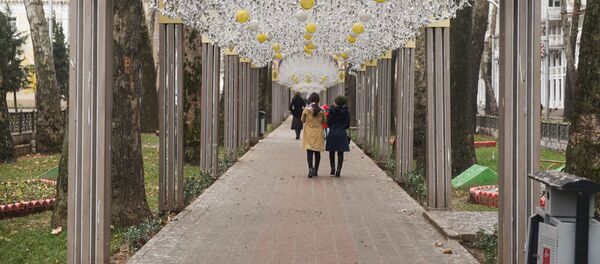 Украшенная гирляндами аллея на проспекте Рудаки Украшенная гирляндами аллея на проспекте Рудаки - Sputnik Таджикистан