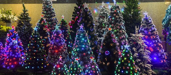 Продажа елок в подземном переходе в Душанбе - Sputnik Тоҷикистон