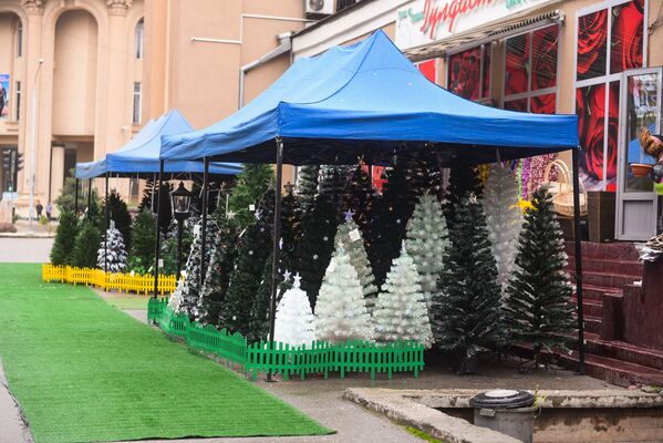 Продажа новогодних елок в Душанбе - Sputnik Таджикистан