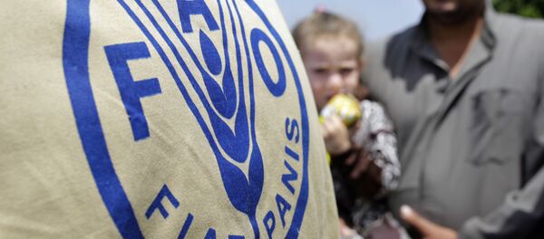 Продовольственная и сельскохозяйственная организация ООН - Sputnik Таджикистан