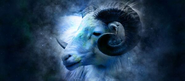 Знак Овна, архивное фото Знак Овна, архивное фото - Sputnik Таджикистан