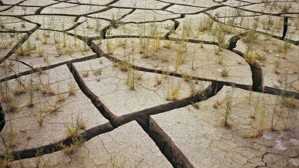 Засуха, архивное фото - Sputnik Таджикистан