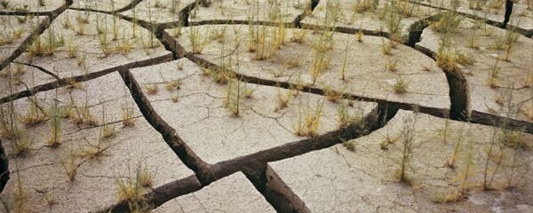 Засуха, архивное фото Засуха, архивное фото - Sputnik Таджикистан