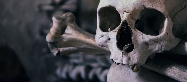 Череп, архивное фото - Sputnik Таджикистан