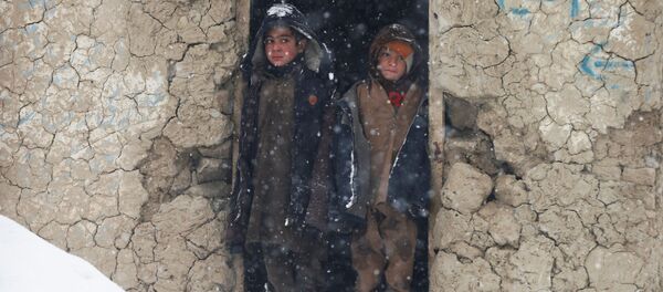 Афганские мальчики стоят во время снегопада в Кабуле, Афганистан Афганские мальчики стоят во время снегопада в Кабуле, Афганистан - Sputnik Тоҷикистон