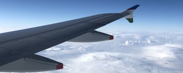 Крыло самолета национальной авиакомпании Uzbekistan Airways - Sputnik Таджикистан