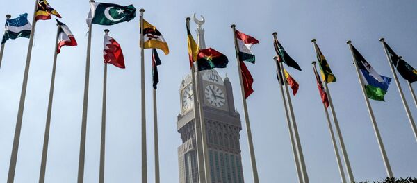 Национальные флаги  государств-членов Организации исламского сотрудничества (ОИС) - Sputnik Тоҷикистон