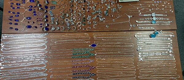 Сотрудниками таможни международного аэропорта в Ташкенте было пресечено очередное правонарушение - Sputnik Таджикистан