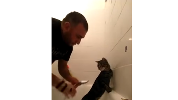 Кота моют в ванной - Sputnik Таджикистан