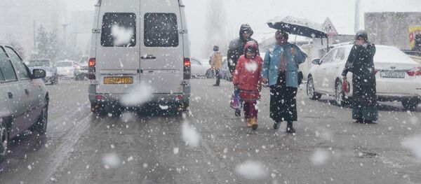 Снегопад в Душанбе, архивное фото - Sputnik Тоҷикистон