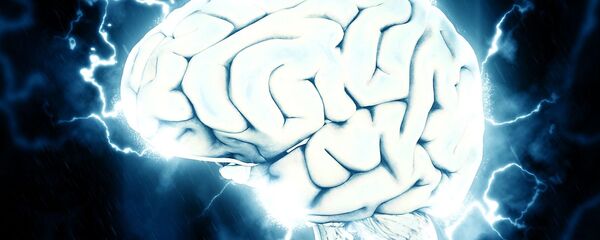 Иллюстрация мозга человека, архивное фото - Sputnik Таджикистан