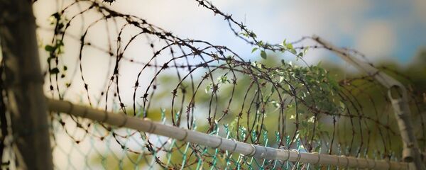 Колючая проволока, архивное фото Колючая проволока, архивное фото - Sputnik Тоҷикистон