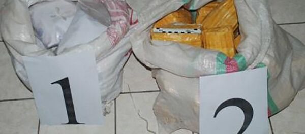 Сотрудники АКН Таджикистана изъяли 26 кг наркотиков Сотрудники АКН Таджикистана изъяли 26 кг наркотиков - Sputnik Тоҷикистон