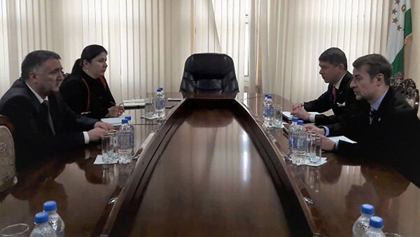 Встреча Временного поверенного с Министром транспорта Таджикистана - Sputnik Таджикистан