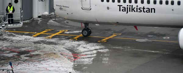 Самолет компаний Somon Air в аэропорту Домодедово Самолет компаний Somon Air в аэропорту Домодедово - Sputnik Тоҷикистон