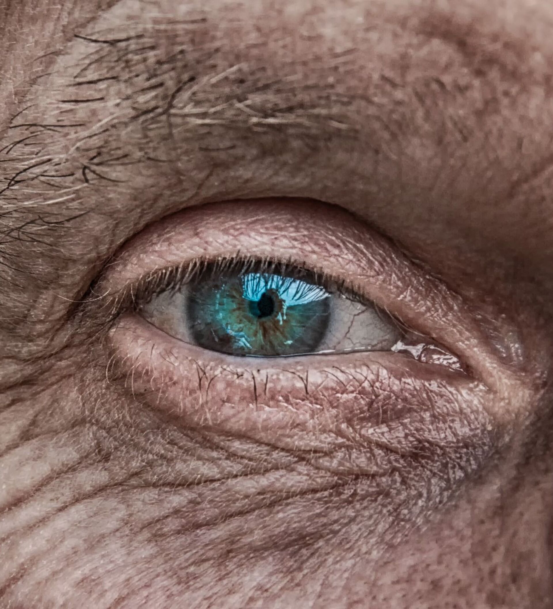 Старые глазки. Глаза пожилого человека.