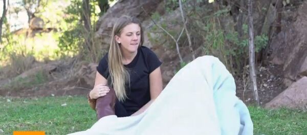 Девушка-мама для животных - Sputnik Таджикистан