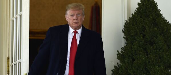 Президент США Дональд Трамп - Sputnik Таджикистан