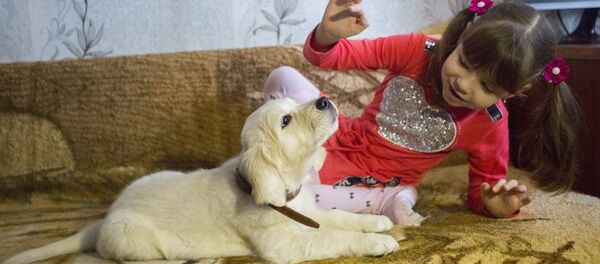 Больная аутизмом девочка из Приморья получила в подарок щенка золотистого ретривера от президента России Владимира Путина - Sputnik Таджикистан