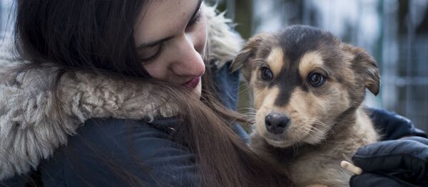 В Литве появился Tinder для знакомства человека с собакой - Sputnik Таджикистан