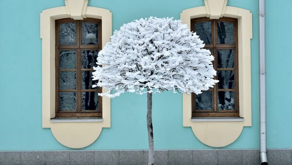 Дерево, покрытое снегом, после сильного снегопада в Киеве, Украина - Sputnik Таджикистан