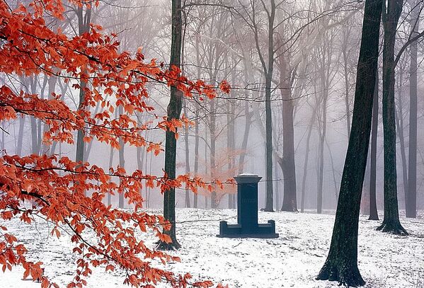 Кладбище Спринг Гров в штате Огайо зимой - Sputnik Таджикистан